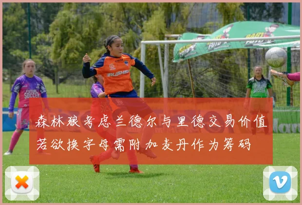 森林狼考虑兰德尔与里德交易价值若欲换字母需附加麦丹作为筹码