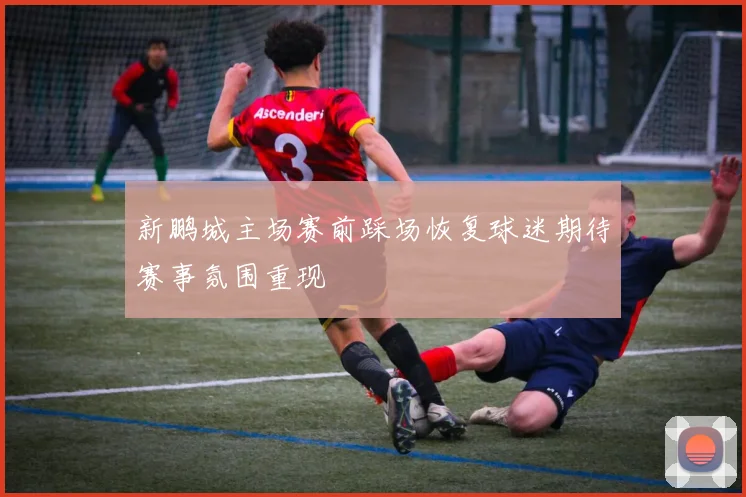 新鹏城主场赛前踩场恢复球迷期待赛事氛围重现