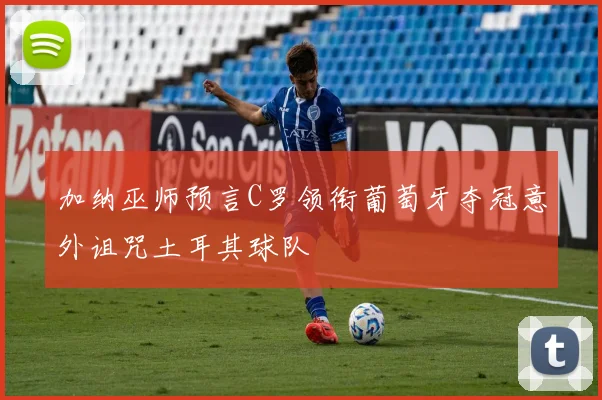 加纳巫师预言C罗领衔葡萄牙夺冠意外诅咒土耳其球队